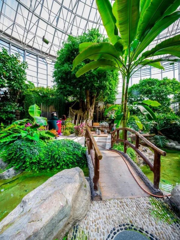 【FENG爆】2021豐臺冬季歡樂遊&mdash;&mdash;冰雪賞花購物之旅