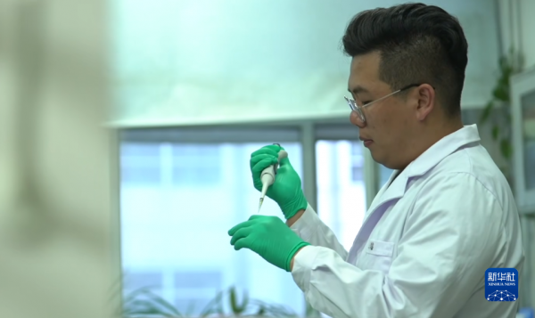 中外學者在新疆聯合發現距今約9000年的古老遺傳譜系 中外學者在新疆聯合發現距今約9000年的古老遺傳譜系