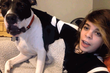 這幾種狗狗“粘人指數”爆棚，別想甩開它