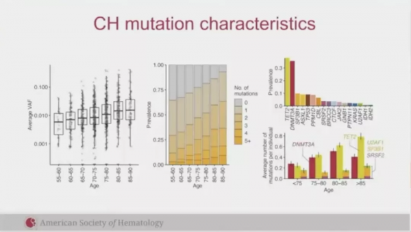 基因突變與克隆性造血有哪些聯絡，又如何指導AML危險分層？