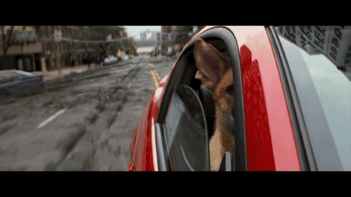 如果發生核戰爭，輻射會持續多久？身為平民的我們該如何求生？