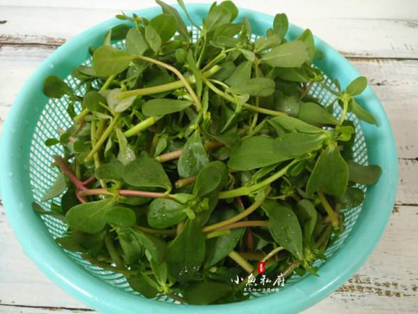 31種野菜大合集，帶你認識不同的野菜和吃法，你想要的野菜這裡有