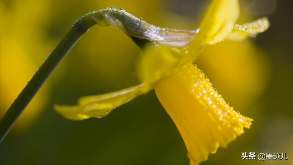 從那以後,母親就很少回來了 從那以後,母親就很少回來了