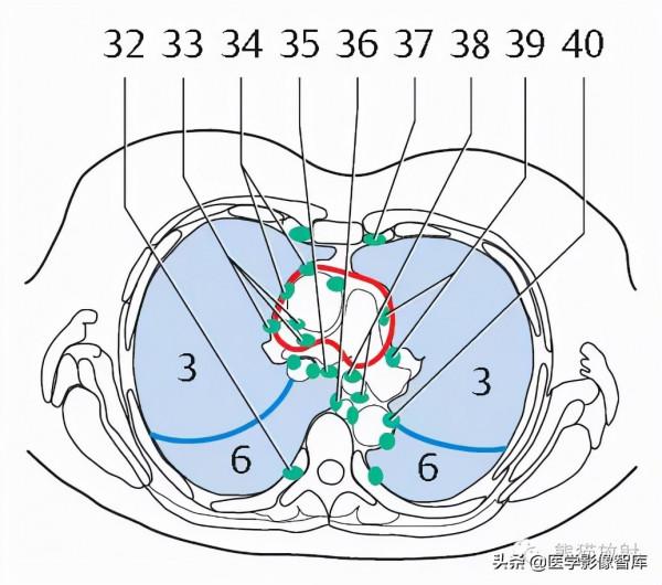 CT斷層解剖圖譜最全總結「推薦收藏」 CT斷層解剖圖譜最全總結「推薦收藏」