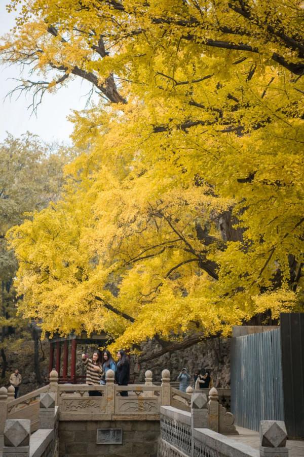 中國最美的50個地方,我竟然只去過10個,你呢? 中國最美的50個地方,我竟然只去過10個,你呢?