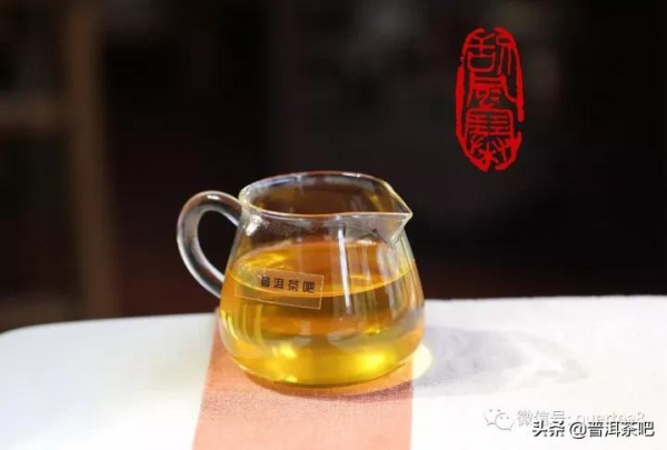 「乾貨分享」詳解易武颳風寨普洱茶
