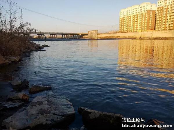 釣魚王餌兩腥配，帶來一次小豐收