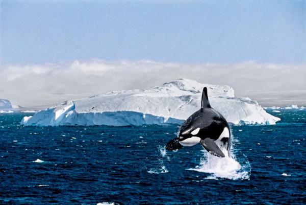 26張極致大片，尋找地球最美的角落