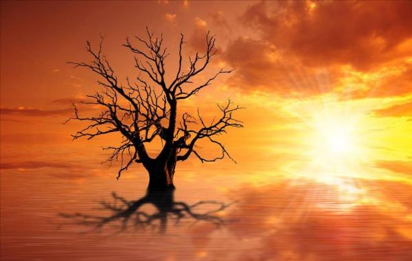 你的心態，你的命