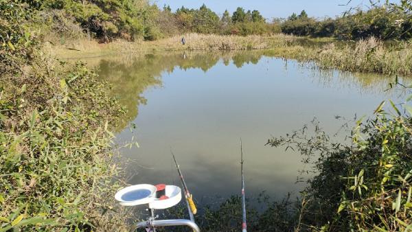 向左還是向右該何去何從，男人的野性在呼喚