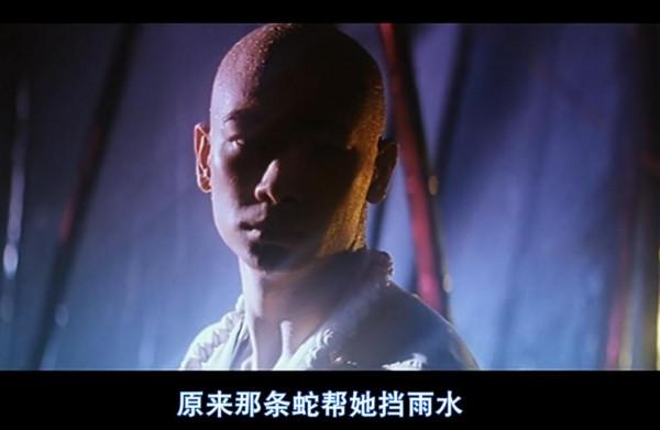 時隔20年，再看徐克的《青蛇》，才懂得小青和法海經歷了什麼