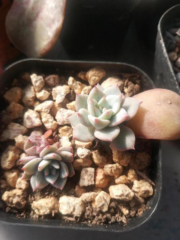 “希望和悲傷,都是一縷光” “希望和悲傷,都是一縷光”