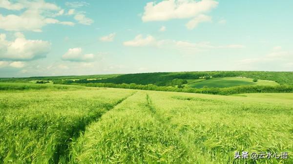 雨後初晴,蘇軾即興吟誦了兩首佳作,寫景如畫,妙語連珠 雨後初晴,蘇軾即興吟誦了兩首佳作,寫景如畫,妙語連珠