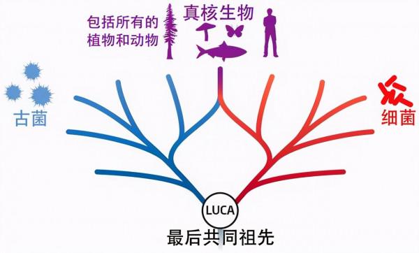 一口氣看完46億年地球史,原來人類如此渺小 一口氣看完46億年地球史,原來人類如此渺小