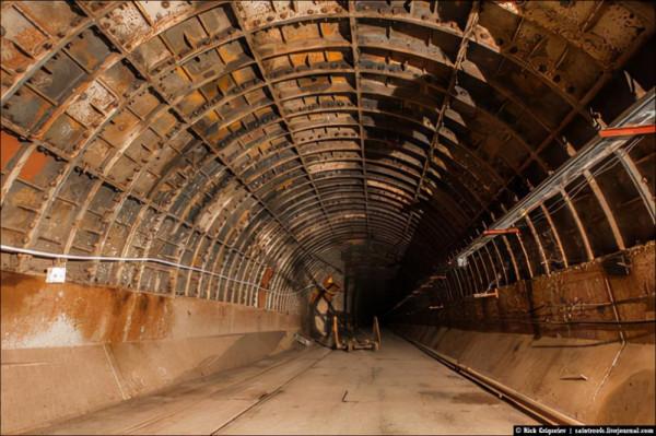 被高能粒子爆頭會怎樣？科學家：一道閃光之後，左臉永久癱瘓