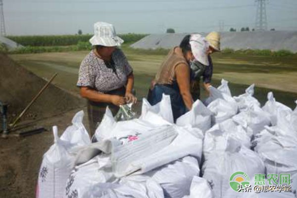 複合肥價格多少錢一斤?怎麼辨別優劣? 複合肥價格多少錢一斤?怎麼辨別優劣?