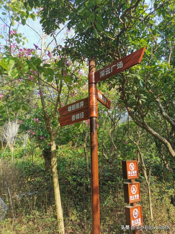 塘朗山&plus;深雲谷，我一天連爬這兩座山，也是沒誰了