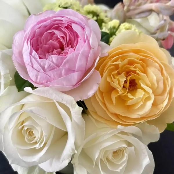 又是甜味瀰漫的一天