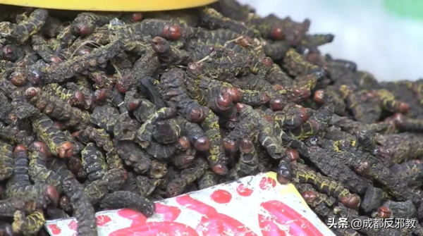 中國小夥逛非洲菜市場的真實感受:食物種類齊全、料理無奇不有 中國小夥逛非洲菜市場的真實感受:食物種類齊全、料理無奇不有