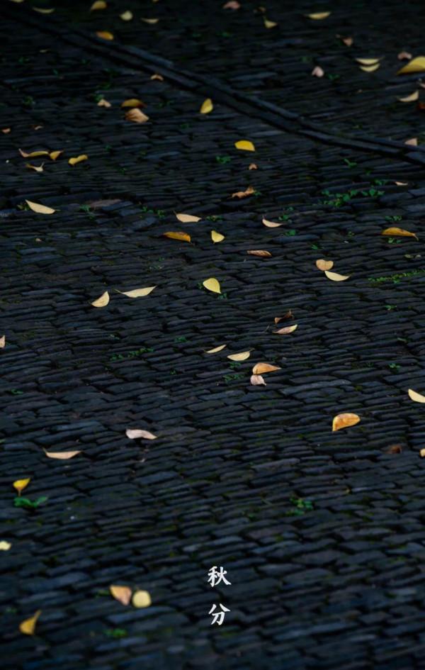 今日秋分|秋水澄澈,與天地相融 今日秋分|秋水澄澈,與天地相融