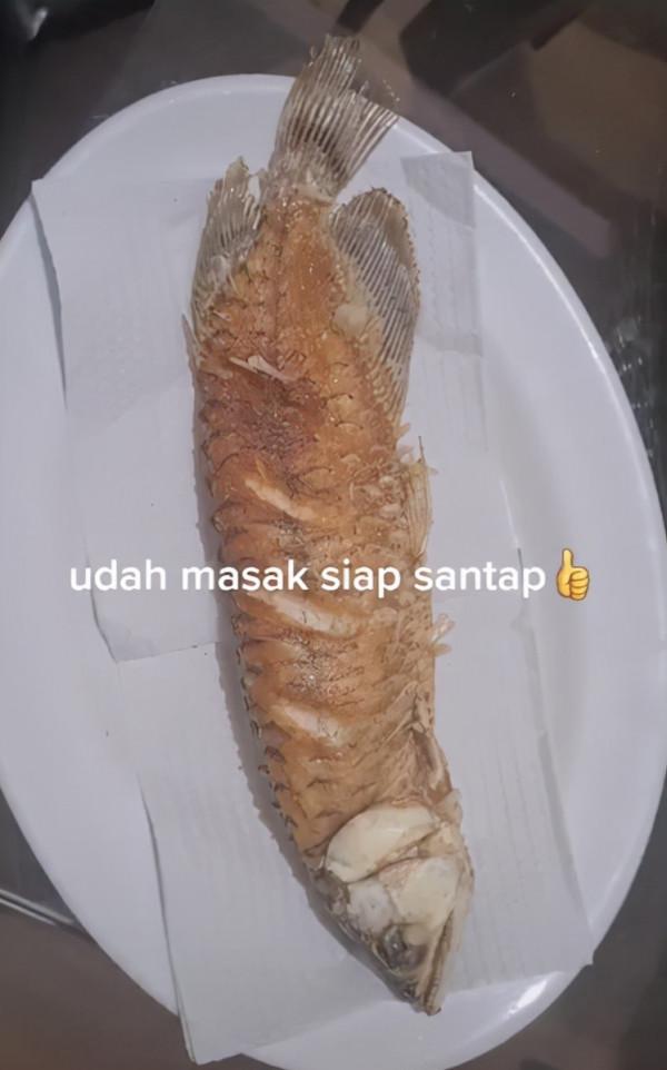 外國丈夫斥巨資買龍魚,卻甩手丟給妻子照料,妻子氣急把魚炸了 外國丈夫斥巨資買龍魚,卻甩手丟給妻子照料,妻子氣急把魚炸了