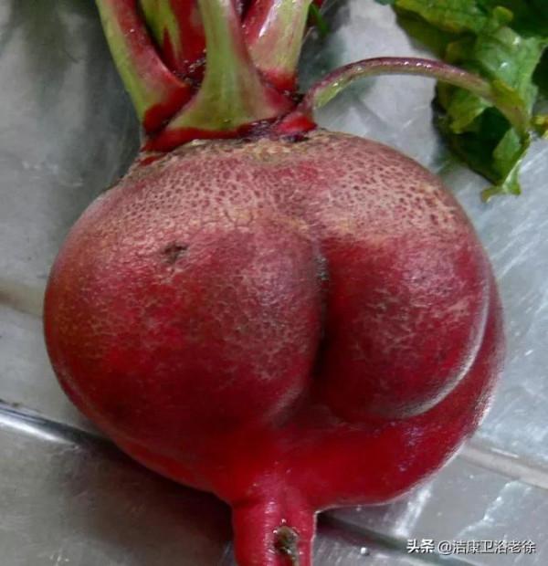 奇葩的&OpenCurlyDoubleQuote;藝術造型&rdquo;蔬菜！沒有神奇、只有更奇 &num;金粉社群&num;