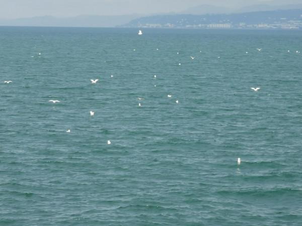 環遊土耳其&lpar;38&rpar;：黑海恩仇錄