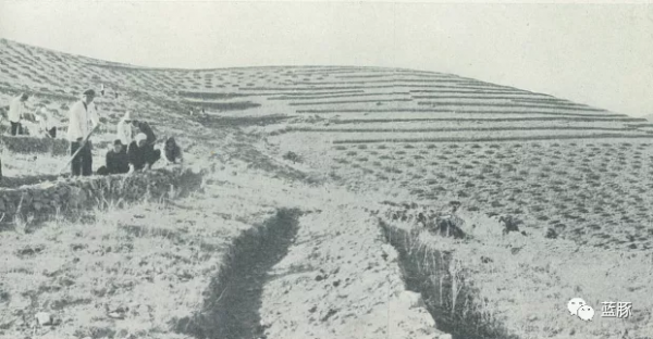 汪胡楨 &vert; 淮河的新生