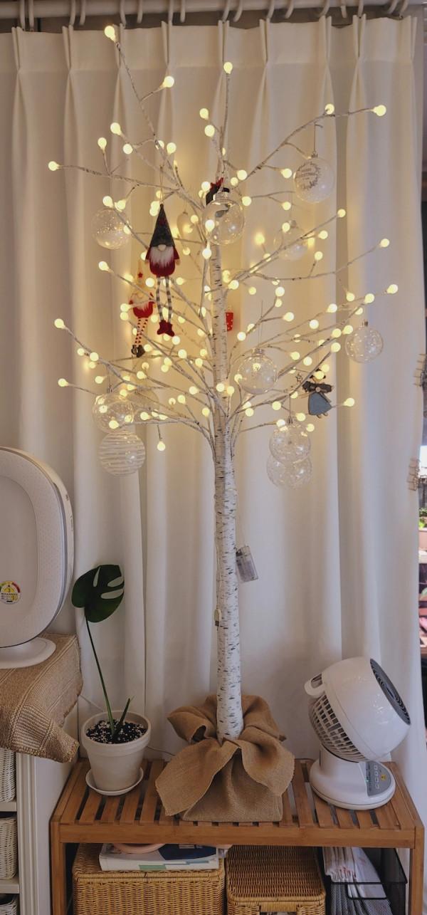 獨居6年，不想結婚，她把全屋擺滿各種綠植，意外收穫五千人關注