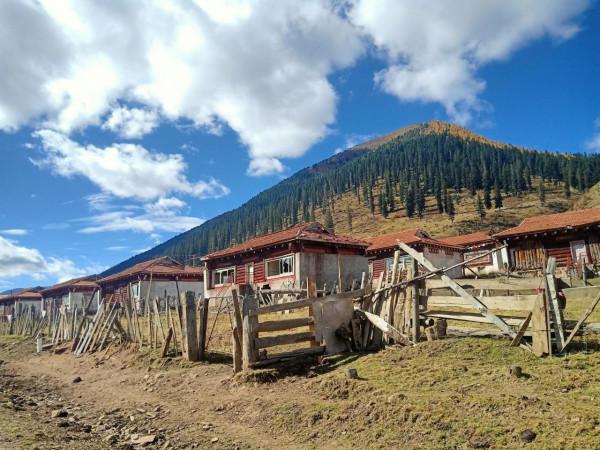 川西藏29天自駕攻略 黨嶺至玉科草原、七美、八美、爐霍