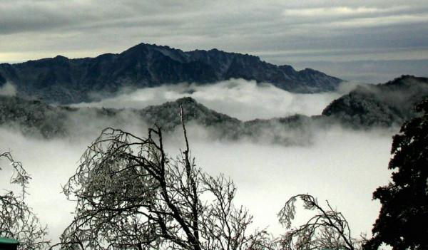 賈平凹《山本》中的涇陽茯茶 賈平凹《山本》中的涇陽茯茶