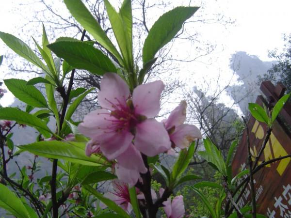 以射箭技藝博得姑娘芳心的錫伯族 以射箭技藝博得姑娘芳心的錫伯族