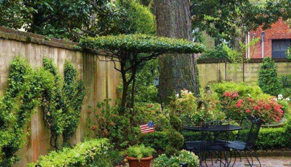 庭院裡的種樹真的很簡單？不不不，其實大有說法