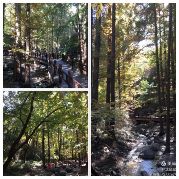 秋日北京匆匆遊