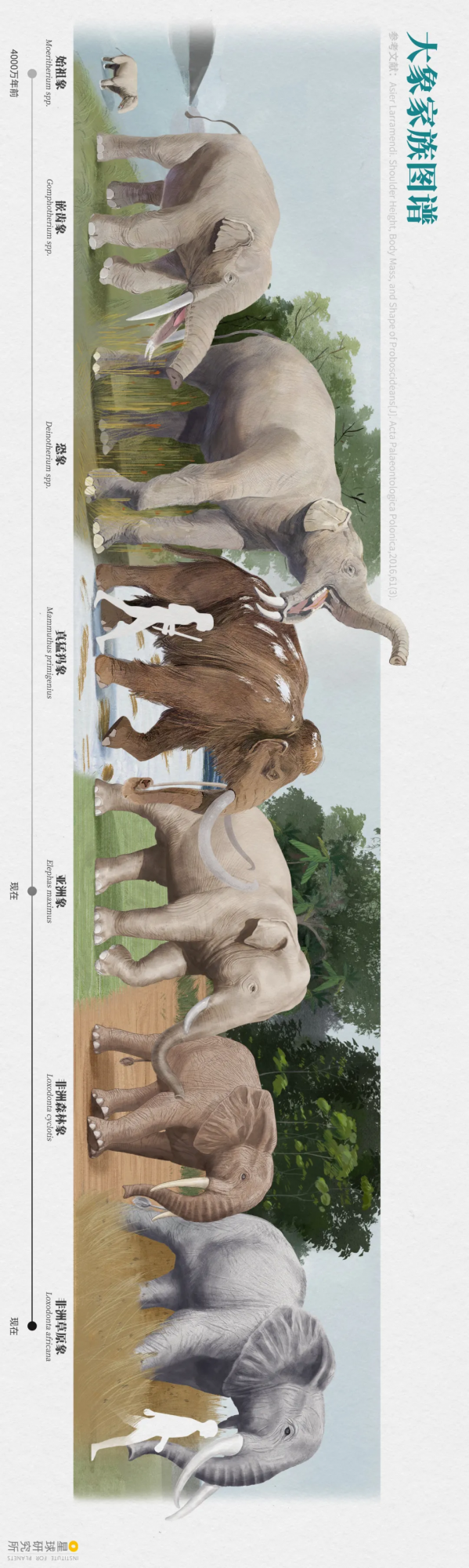 2021年度動物，是誰？