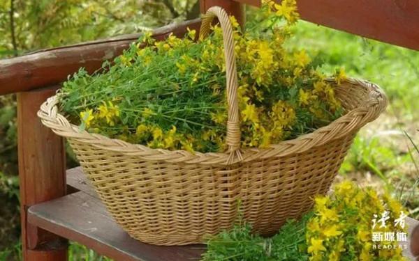 你的善良,必須有點兒鋒芒 你的善良,必須有點兒鋒芒