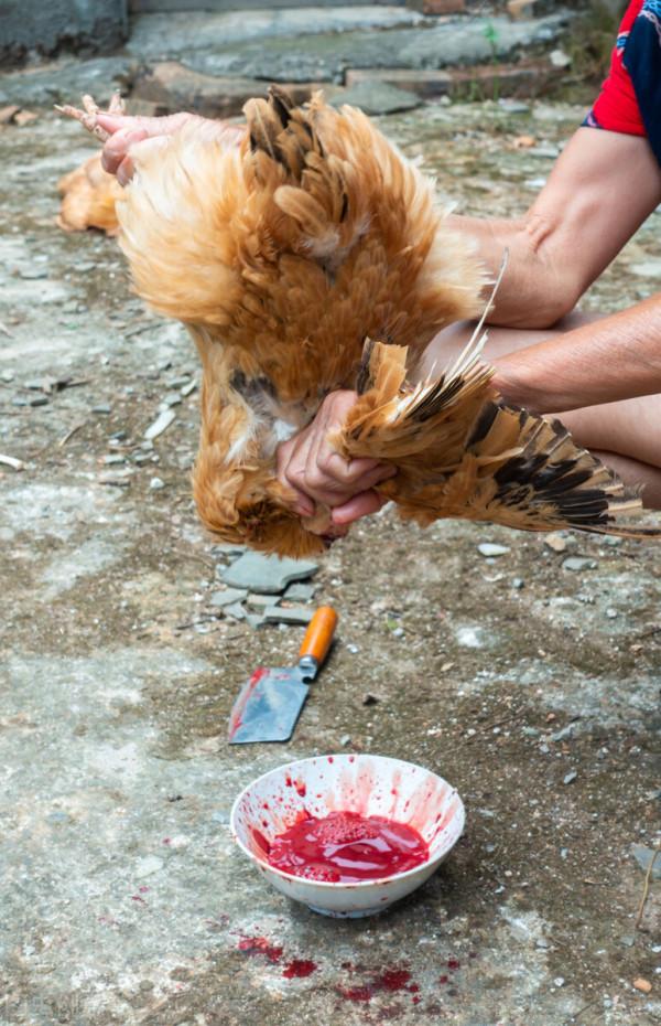 農村過年的習俗有哪些?農曆二十三就開始準備過年了 農村過年的習俗有哪些?農曆二十三就開始準備過年了