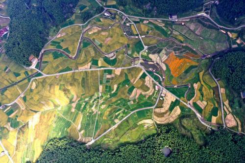 金秋澤雅,梯田稻浪美醉了 金秋澤雅,梯田稻浪美醉了