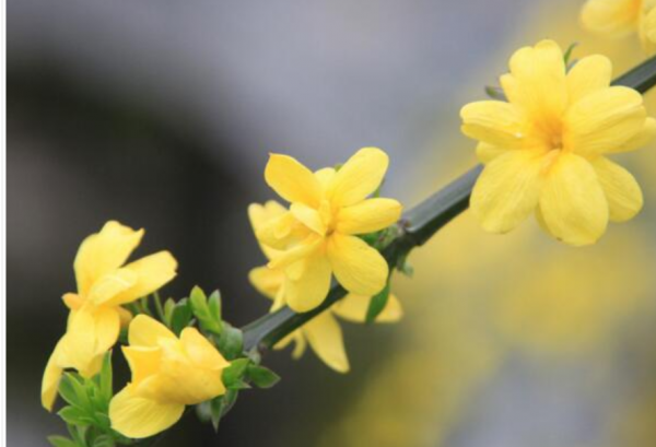 能與世間萬物心有靈犀,並守著那份摯愛,你將看到不一樣的自己 能與世間萬物心有靈犀,並守著那份摯愛,你將看到不一樣的自己