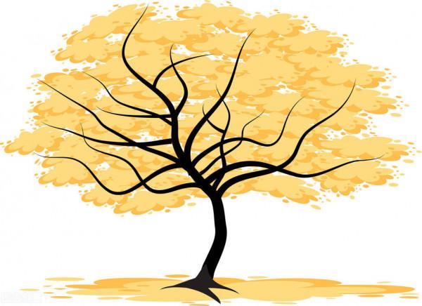 49歲男子支架後3年，支架再次堵塞！再次打通血管，人還是走了