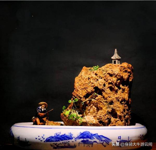 家庭微造景——“吸水石盆景”