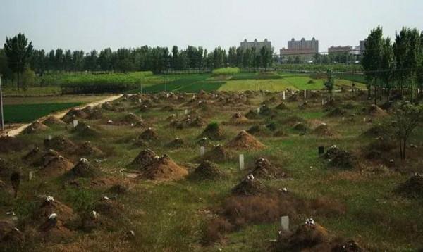 空心村（外一首）