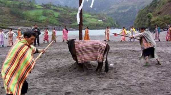 和雲南一起過新年 |“卡雀哇”節：獨龍族的新年