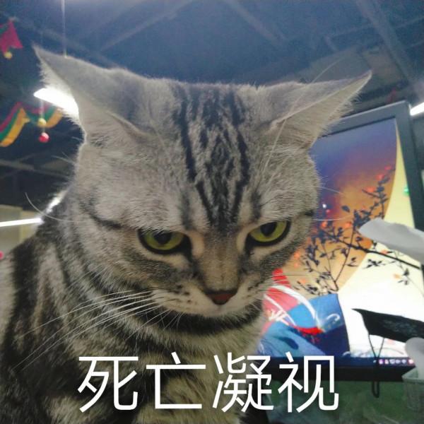 桌布（57） &vert; 新桌布來啦