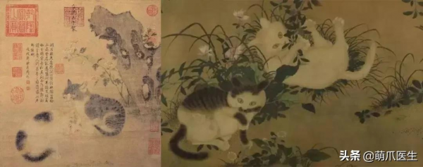 看了我太太太爺爺畫的貓後…網友:同一個物種 看了我太太太爺爺畫的貓後…網友:同一個物種