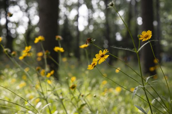 12星座最可愛的一面,讓人忍不住多看一眼 12星座最可愛的一面,讓人忍不住多看一眼