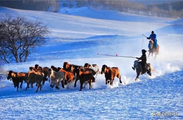 請欣賞—壩上草原風光