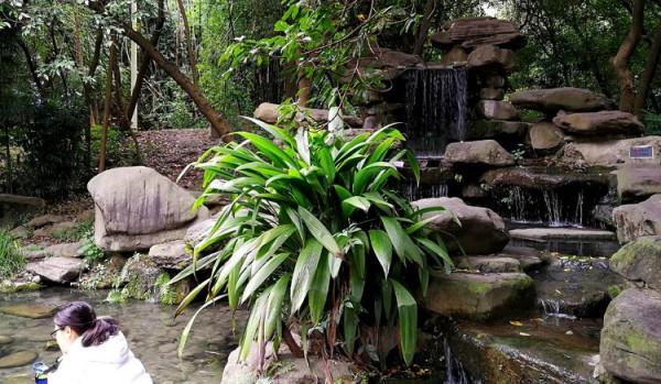 遊記古雒城二：房琯於此會杜甫；欞星門內隱孔廟；聖諭碑令人反思