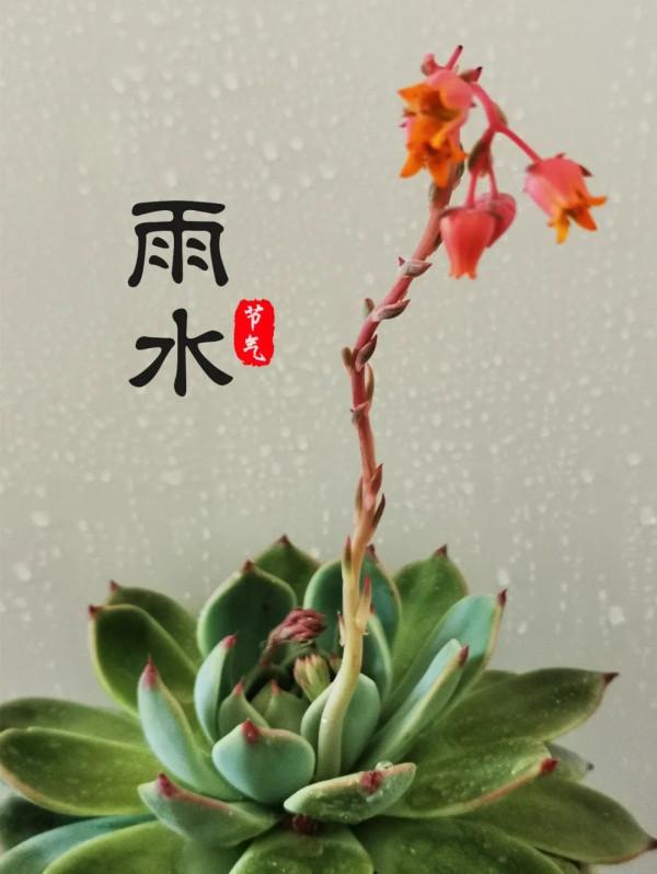 二十四節氣 | 好雨時節、潤物無聲