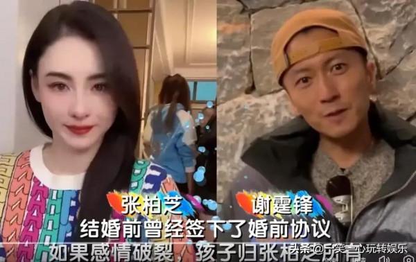 明星奇葩婚姻協議，郭碧婷不算啥，看到楊冪：難怪劉愷威不敢二婚